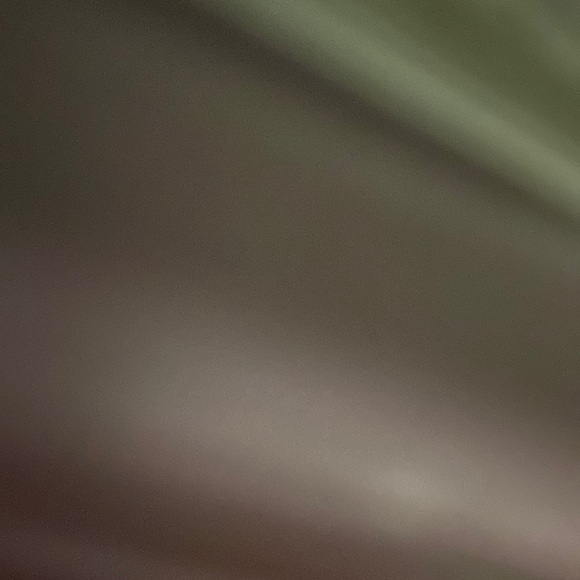 Meet your Posher, Mayte - Picture 1 of 1